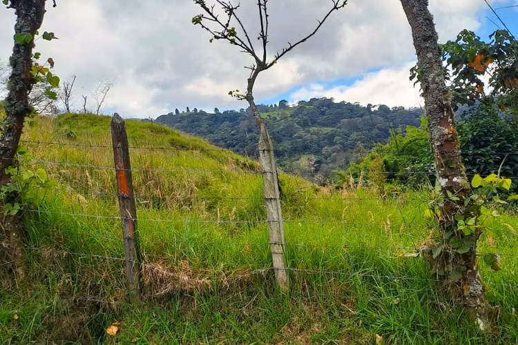 Terreno con vista panorámica en Rancho Redondo, Goicoechea - Imagen 2