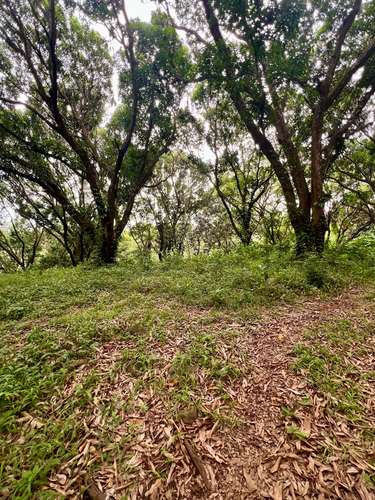 FINCA PRODUCTIVA CON AGUA POTABLE — Jesús María, San Mateo, Alajuela - Imagen 9