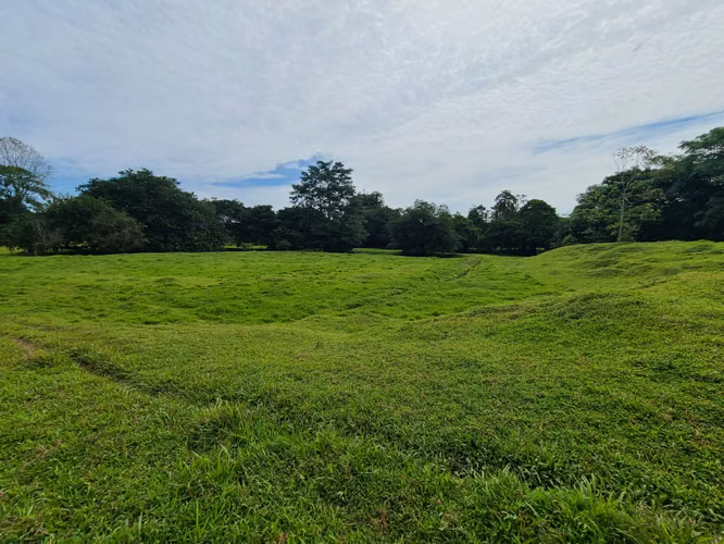 Finca Palermo Cariari Pococi