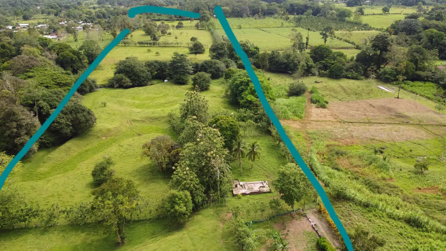 Finca Palermo Cariari Pococi