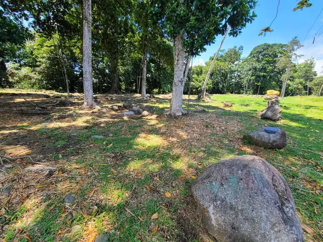Dos lotes sobre ruta 32 Guapiles