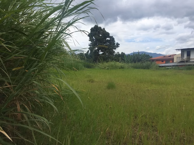 Venta de terreno con uso de suelo Mixto, Zapote, San José. 1646 - Imagen 3