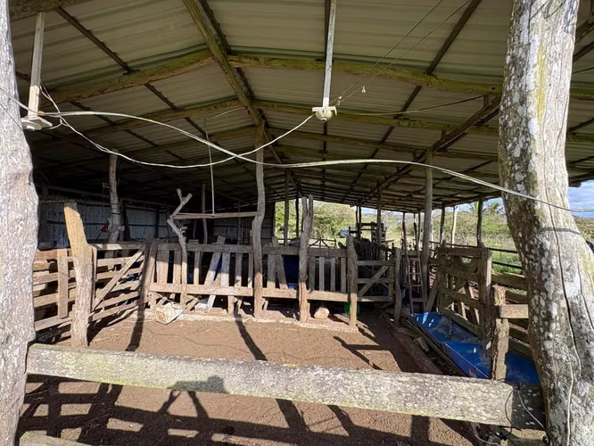 Finca Ganadera en Venta Bagaces, Guanacaste MV-255 - Imagen 2