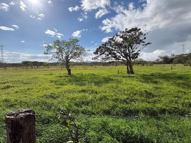 Finca Ganadera en Venta Bagaces, Guanacaste MV-255 - Imagen 3