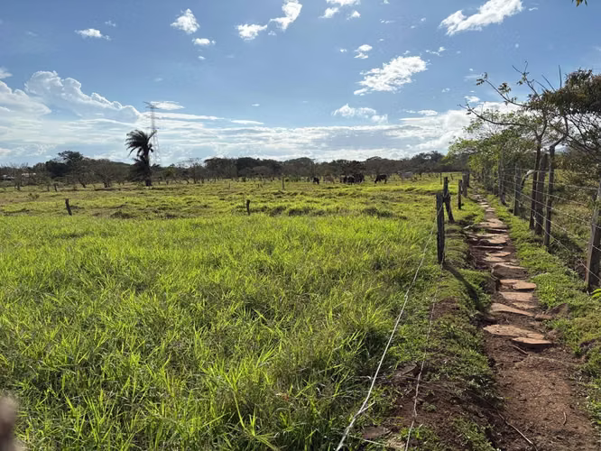 Finca Ganadera en Venta Bagaces, Guanacaste MV-255 - Imagen 8