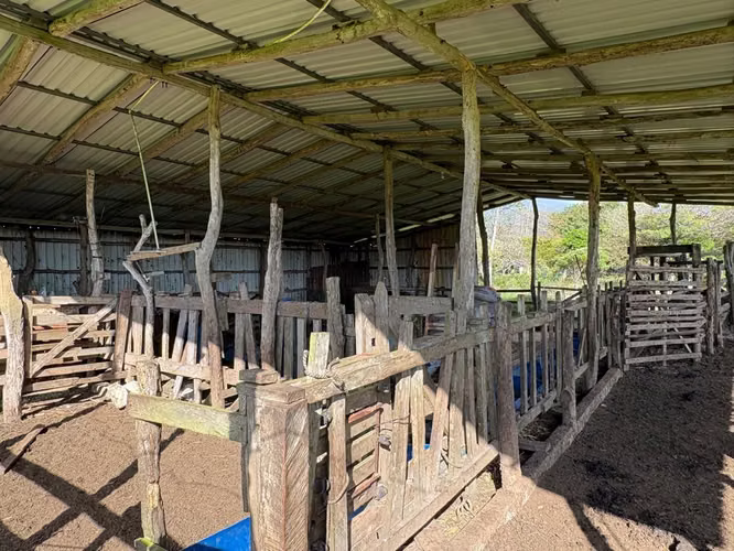 Finca Ganadera en Venta Bagaces, Guanacaste MV-255 - Imagen 7