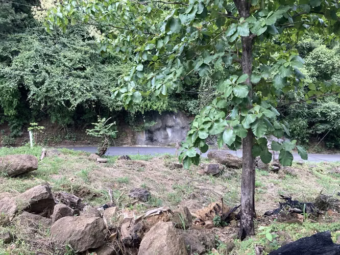 Se vende 1,009 m2 circa de la ruta 27 en Atenas - Imagen 4