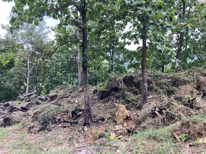 Se vende 1,009 m2 circa de la ruta 27 en Atenas - Imagen 2