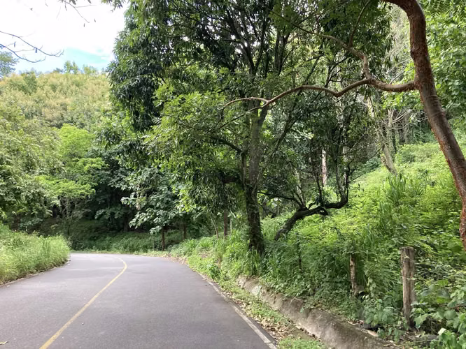 Muy linda finca a la venta en Balsa de Atenas - Imagen 10