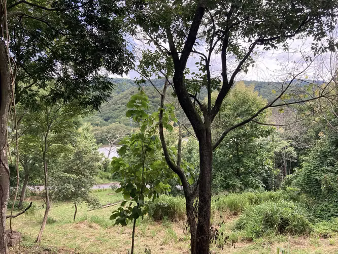 Muy linda finca a la venta en Balsa de Atenas