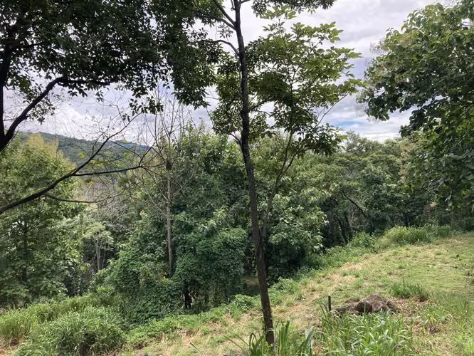 Muy linda finca a la venta en Balsa de Atenas - Imagen 3