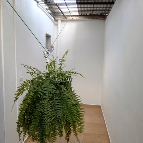 Venta de casa de dos pisos en Desamparados - Imagen 3