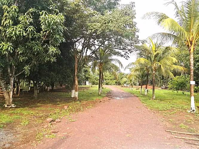 Venta finca Puntarenas Zagala - Imagen 6