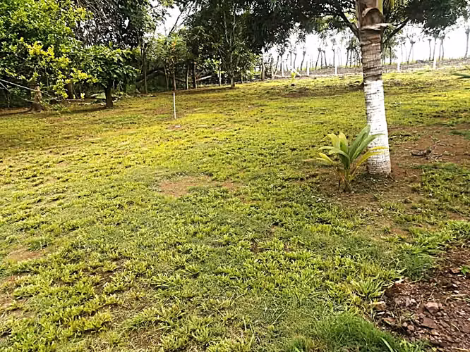 Venta finca Puntarenas Zagala