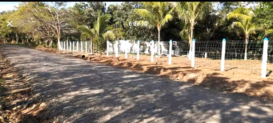 Venta finca Puntarenas Zagala - Imagen 11