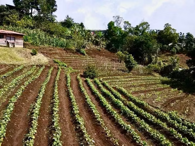Encantadora Casa y Finca en Naranjo, Costa Rica — Tu Inversión Campestre Te Espera - Imagen 4