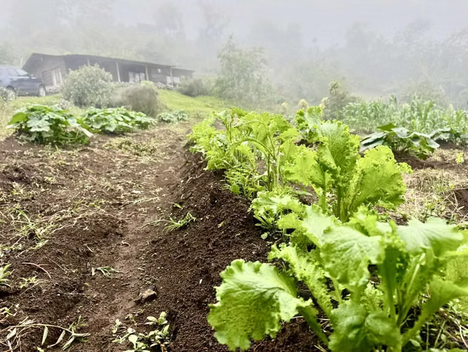 Encantadora Casa y Finca en Naranjo, Costa Rica — Tu Inversión Campestre Te Espera - Imagen 7