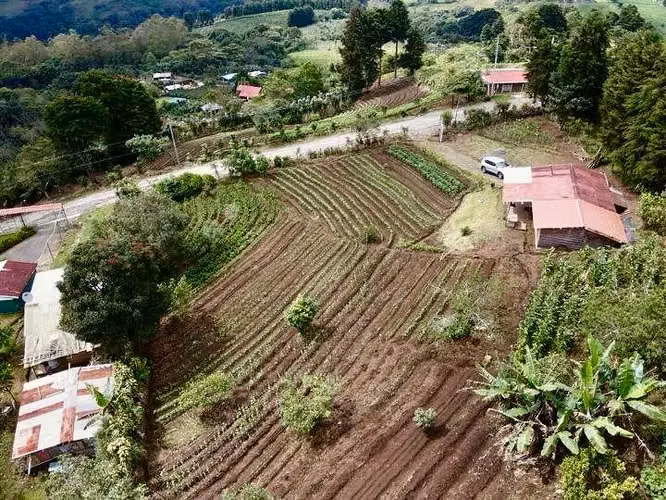 Encantadora Casa y Finca en Naranjo, Costa Rica — Tu Inversión Campestre Te Espera - Imagen 2