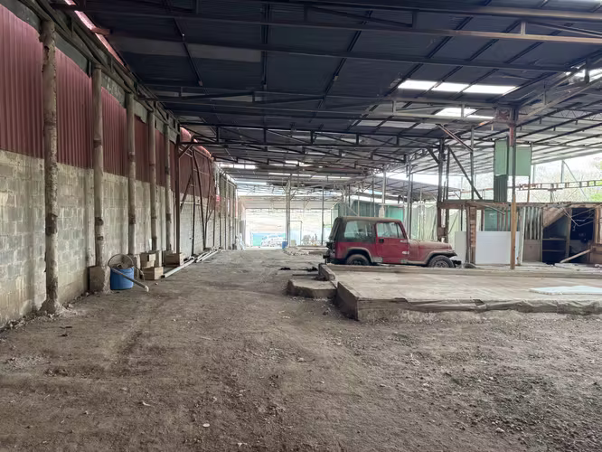 Gran Bodega de 2.400 m² en Cartago – 180 Millones - Imagen 6