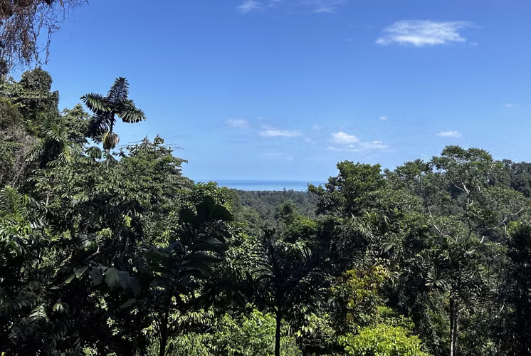 Finca 2 ha Vista al Mar + Cabaña de Lujo Autosuficiente — Cahuita