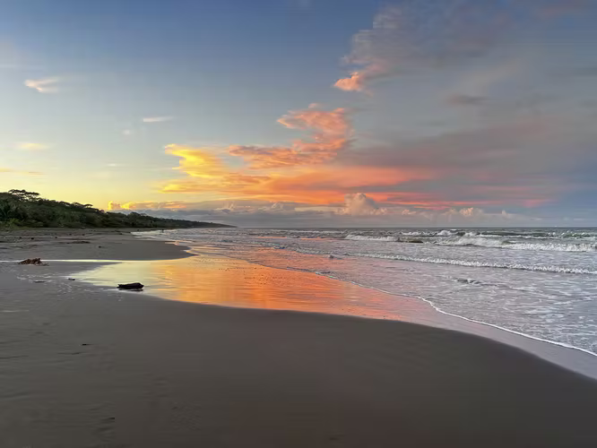 Finca 2 ha Vista al Mar + Cabaña de Lujo Autosuficiente — Cahuita