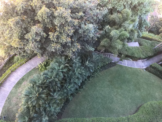 Exclusivo Apartamento en Escazú: 2 Habitaciones, Piscina Privada y Vistas Panorámicas - Imagen 9