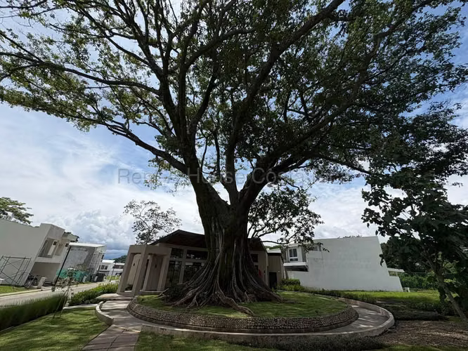 Venta de Lote en Santa Ana. - Imagen 8