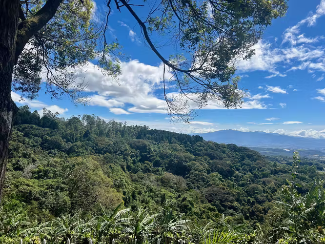 Venta de casa en San Isidro, 30423m². Vistas panorámicas y casa de visitas - Imagen 9