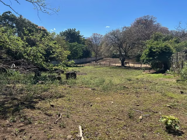 Venta de lote en la Guácima 7.341 m² de alta densidad - Imagen 8