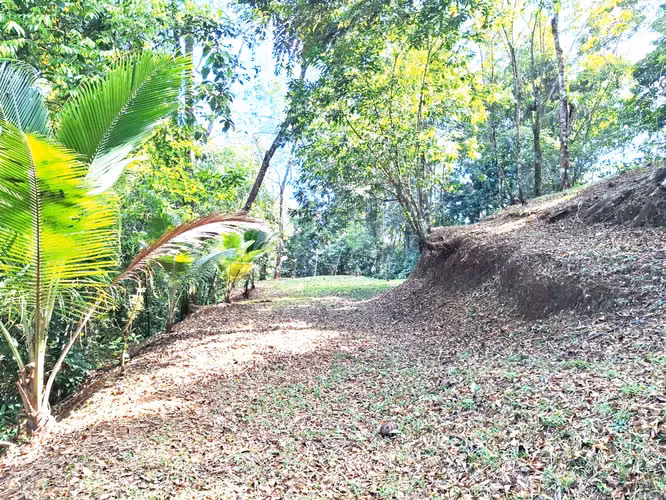Se vende finca San Ramon San Lorenzo 45 mill colones GANGA - Imagen 4