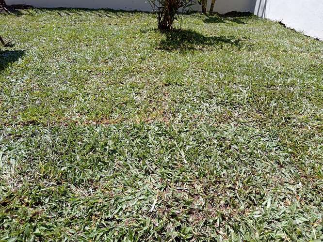 Casa con uso de suelo comercial cerca del cruce San Antonio y La Colina, 157 m² de terreno