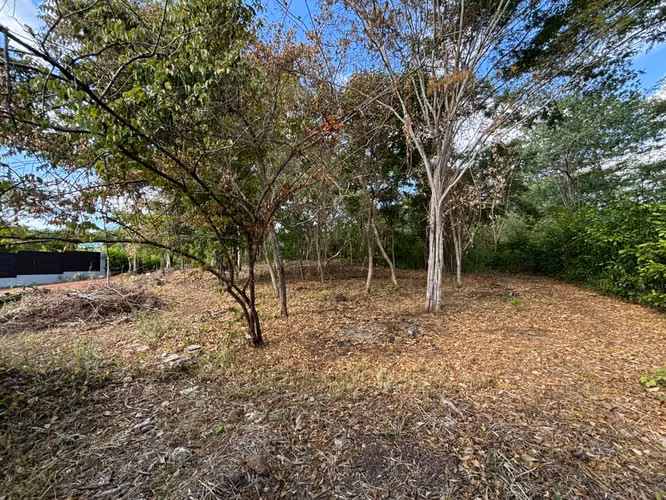 Se vende lote con permiso de construcción aprobado en Playa Grande - Imagen 3