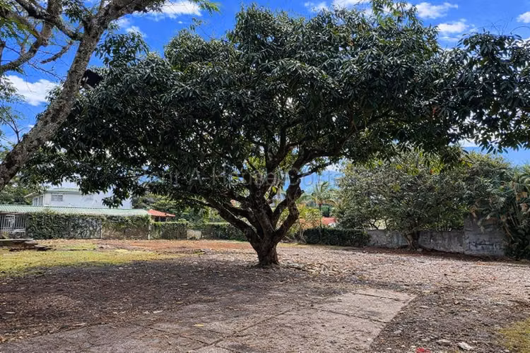 Lote Premium en Venta en San Rafael de Escazú IP