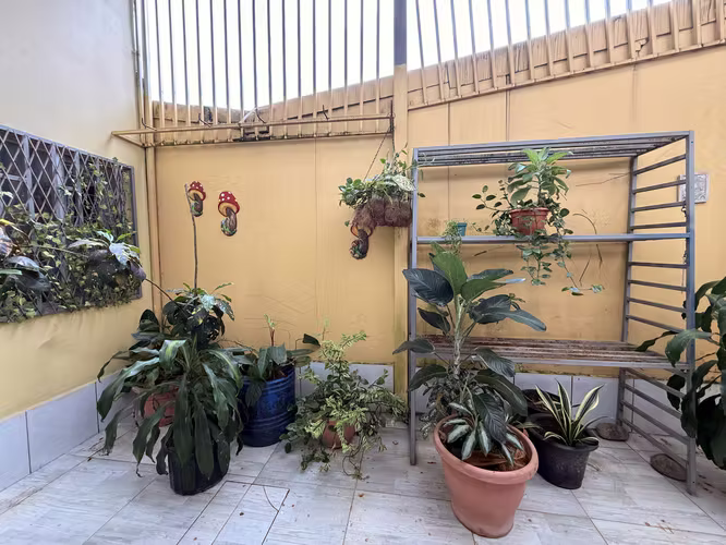 Oportunidad de Inversión en GUÁPILES - Casa + 5 APARTAMENTOS 100.000.000