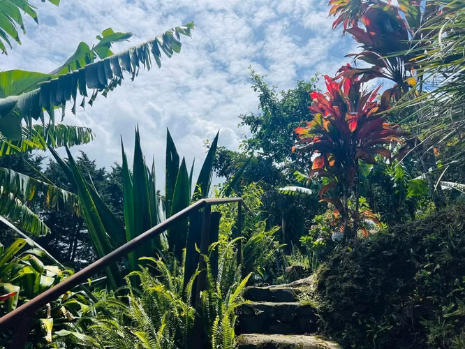 Venta de Hotel de Montaña en Barva de Heredia | 26 Unidades - Imagen 18
