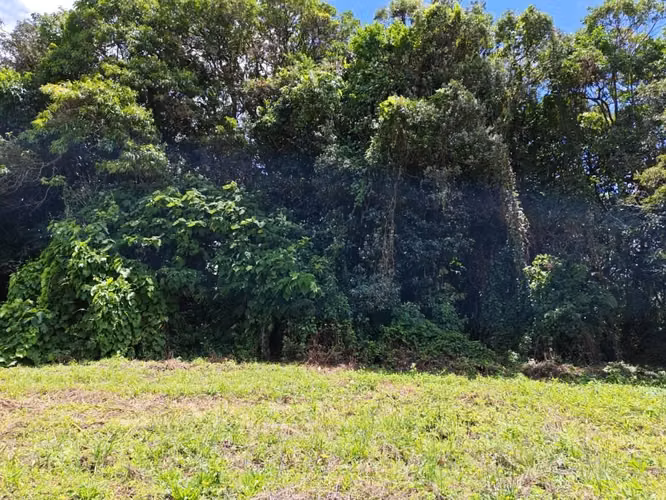 Se vende terreno en Zarcero. Precio negociable. - Imagen 5