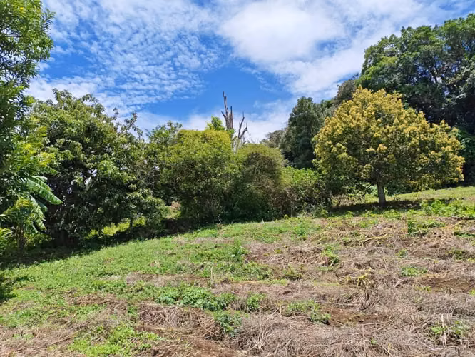 Se vende terreno en Zarcero. Precio negociable. - Imagen 4