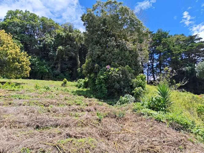 Se vende terreno en Zarcero. Precio negociable. - Imagen 3