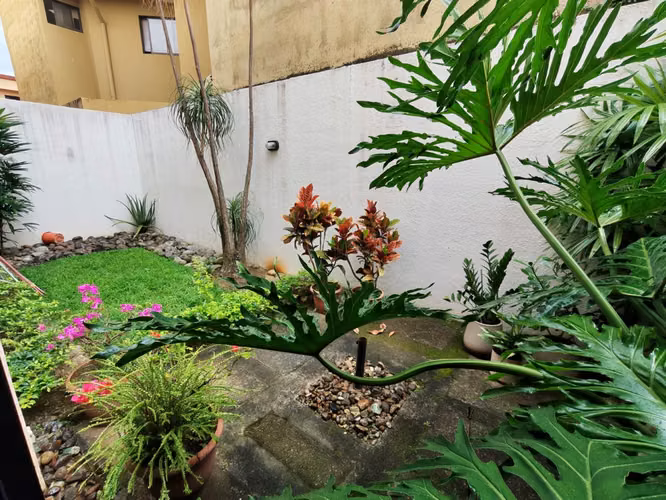 Se vende casa en Pozos de Santa Ana. Residencial Seguro. - Imagen 8
