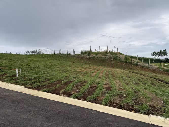 Lote Grande en San Isidro-Calle Rodríguez