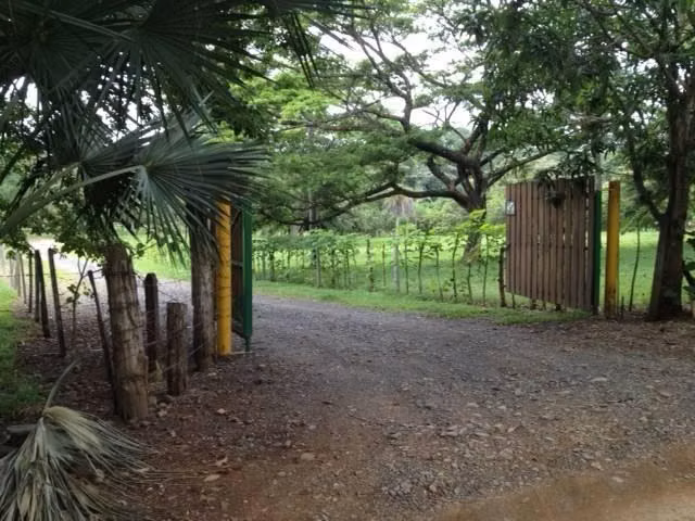 Se vende lote en Tarcoles- Puntarenas