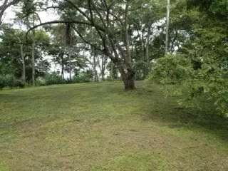Se vende lote en Tarcoles- Puntarenas - Imagen 4