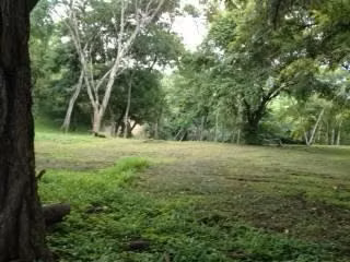 Se vende lote en Tarcoles- Puntarenas - Imagen 2