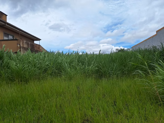 VENTA DE TERRENO SAN RAFAEL DE MONTES DE OCA. - Imagen 3