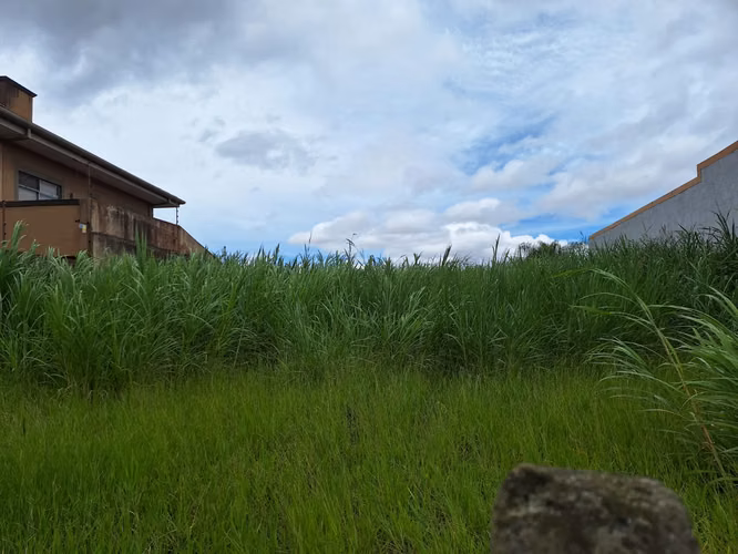 VENTA DE TERRENO SAN RAFAEL DE MONTES DE OCA. - Imagen 6