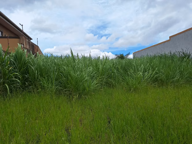 VENTA DE TERRENO SAN RAFAEL DE MONTES DE OCA. - Imagen 13