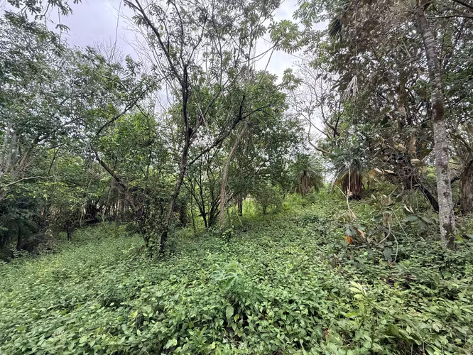 Lote plano de 20.964 m² junto a INCAE en La Garita - Imagen 3