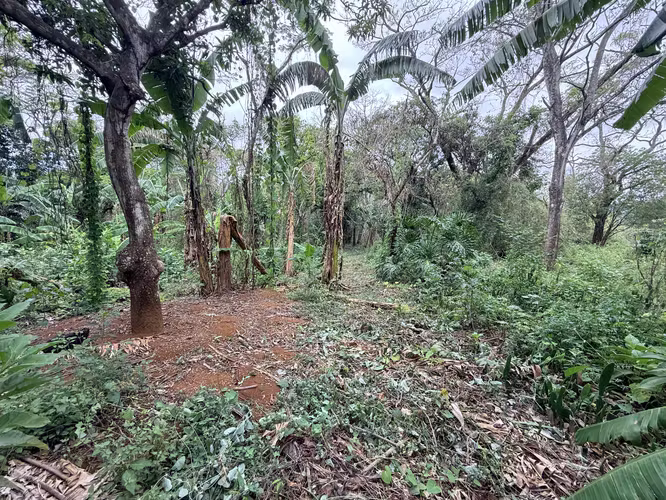 Lote plano de 20.964 m² junto a INCAE en La Garita - Imagen 15