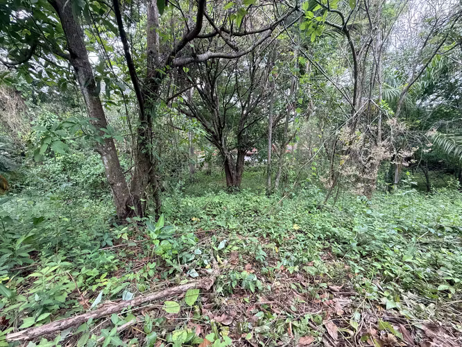 Lote plano de 20.964 m² junto a INCAE en La Garita - Imagen 16