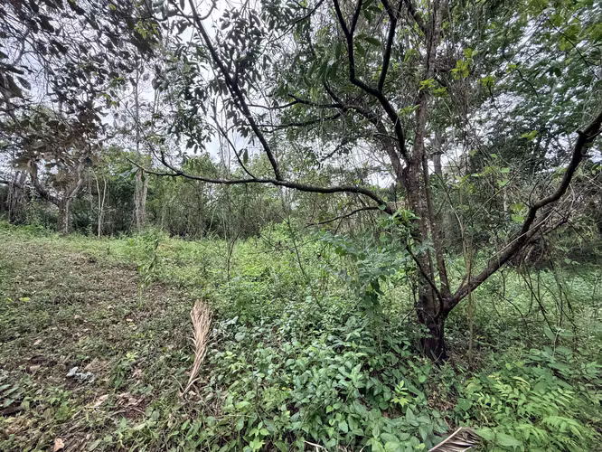 Lote plano de 20.964 m² junto a INCAE en La Garita - Imagen 19